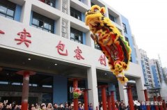 醒狮贺岁，半岛官方端网站登录入口-半岛(中国)2019年开工大吉